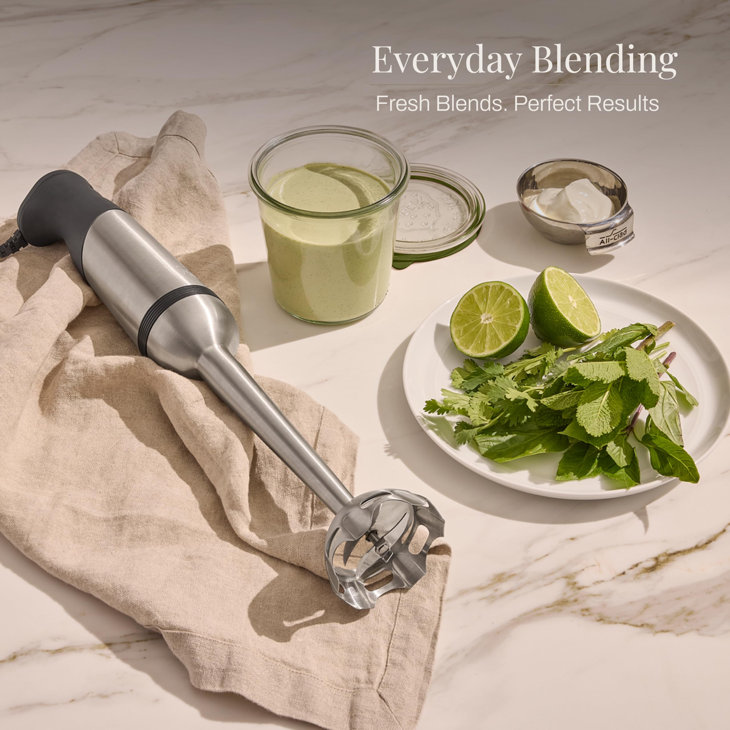 Amazon.com: All-Clad Electrics Stainless Steel Immersion Blender 2