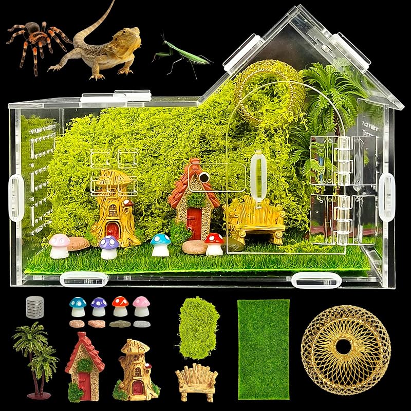 Terrário para Aranha-Saltadora em Acrílico Transparente com Fechamento Magnético TASOMUTY – Kit com 18 Unidades