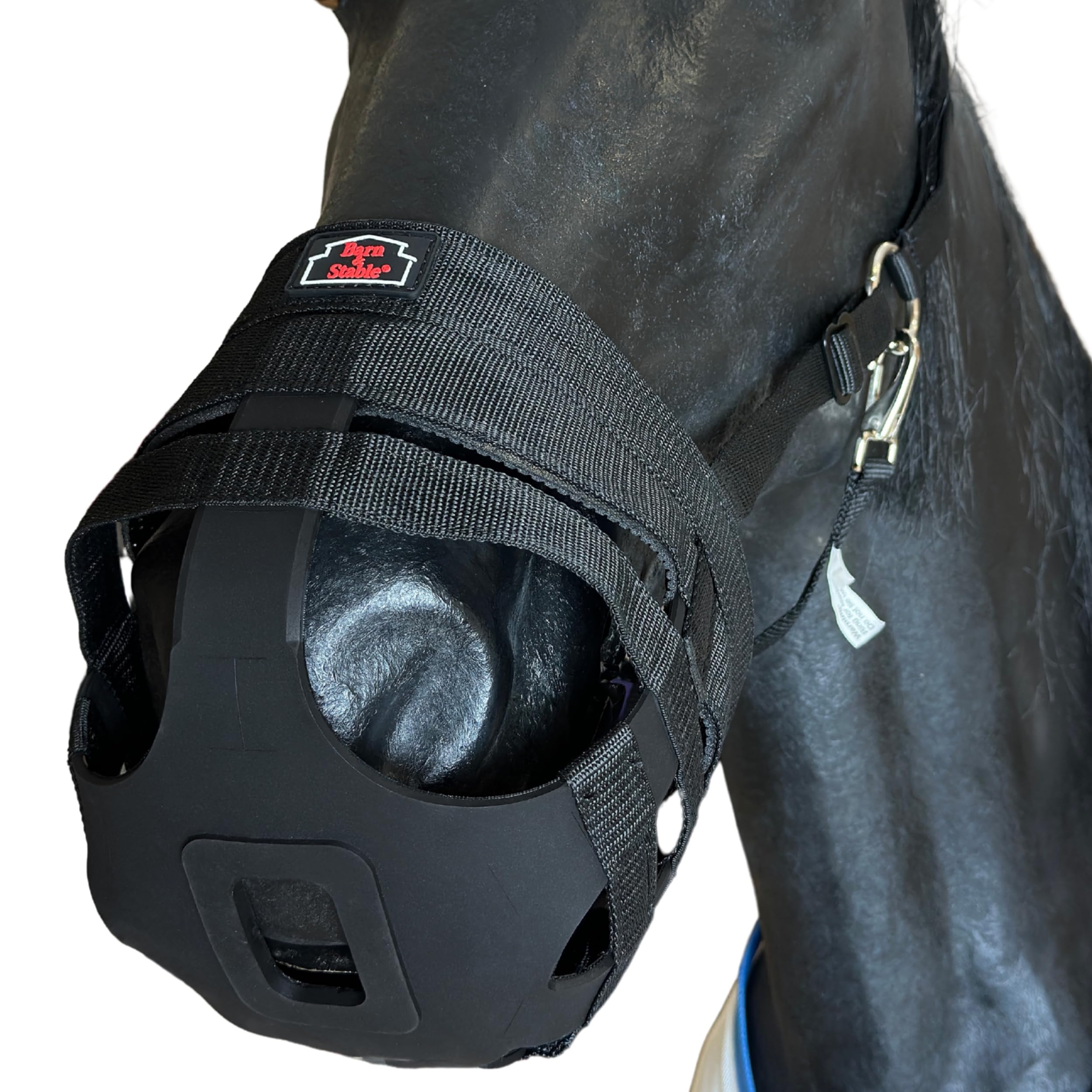 BARN & STABLE Weidenmaulkorb für Pferde mit verstellbaren Riemen, Schnallen, Laminitis Vorsorge
