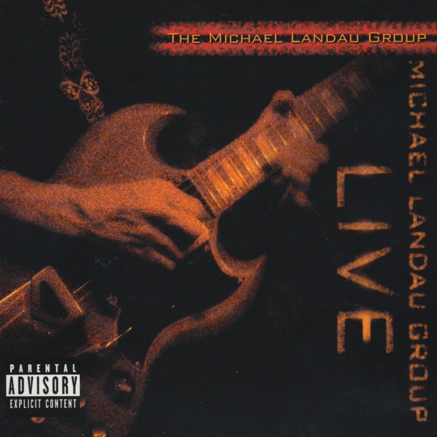 The Michael Landau Group