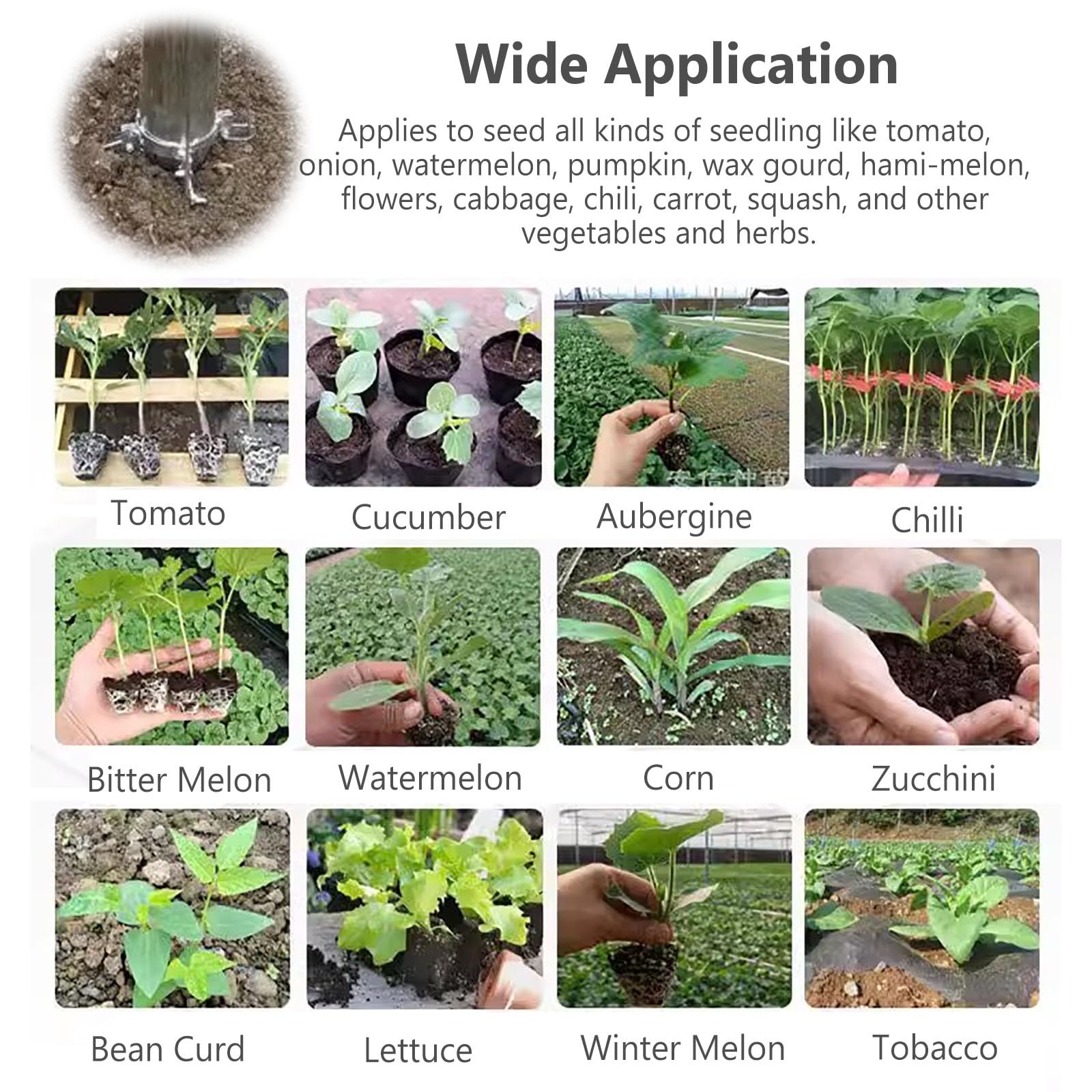 Fioriera manuale per bulbi da giardino con manico antiscivolo, fioriera semiautomatica durevole e resistente alla ruggine, per patate, zucche, peperoni per piantare ad alta efficacia (dimensioni: