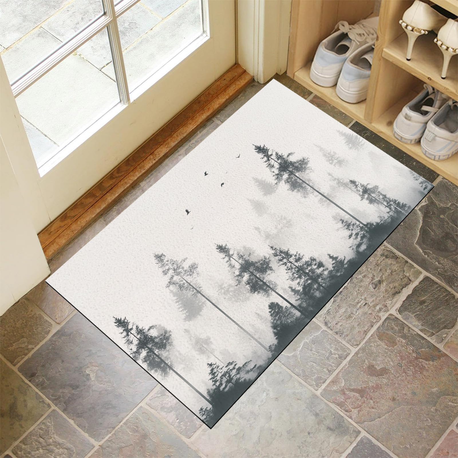 Paillasson intérieur entrée absorbant et tapis de porte lavable résistant