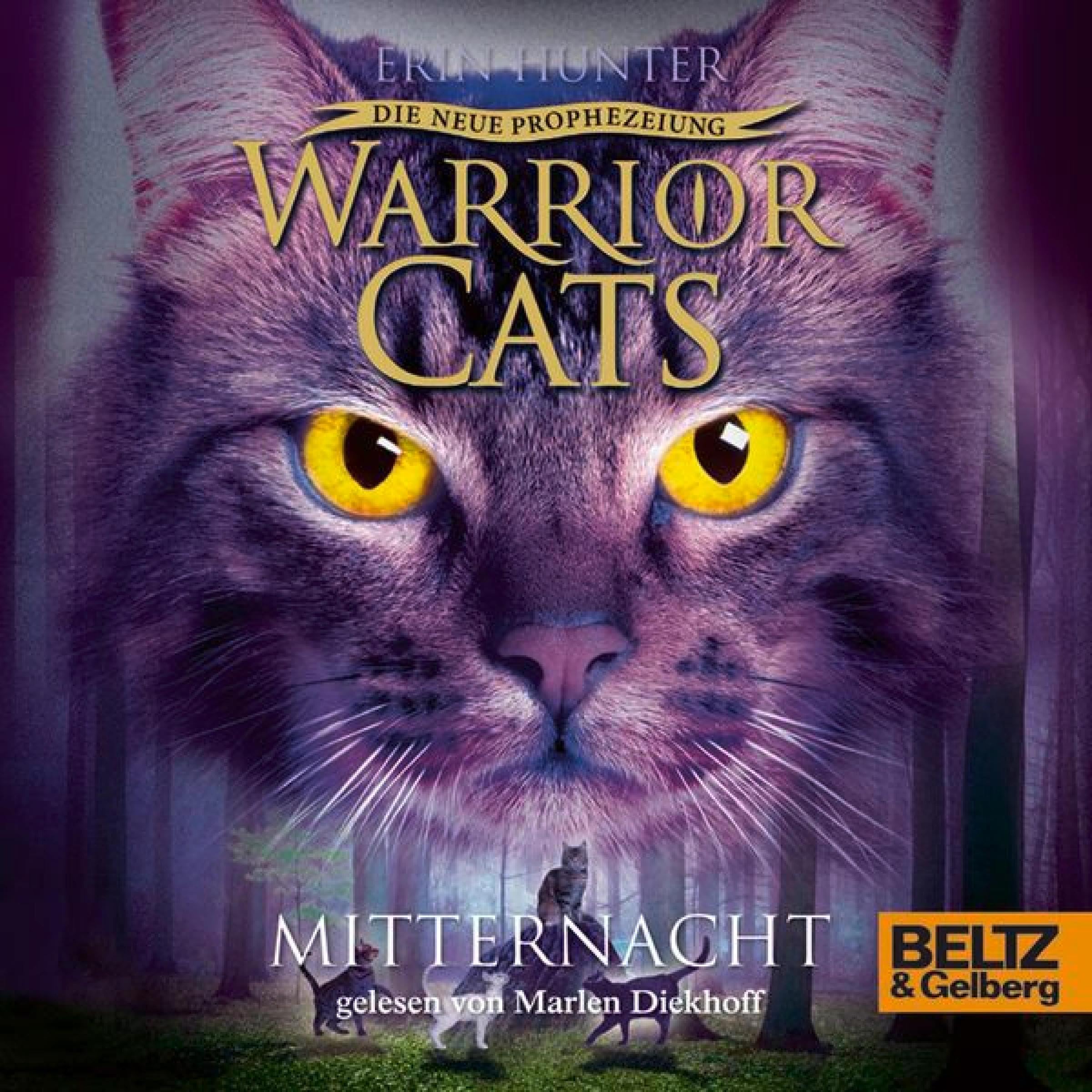 Cover art for Mitternacht
