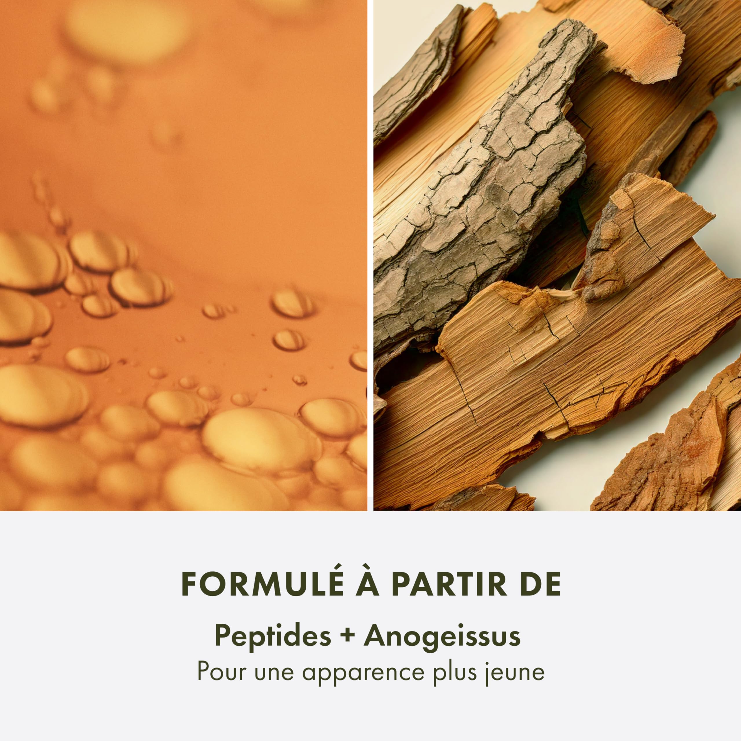 Origins Plantscription SPF 25 Crème Anti-Âge Intense, Réduit visiblement les ridules, Contient des peptides et de l’acide hyaluronique, 50 ml