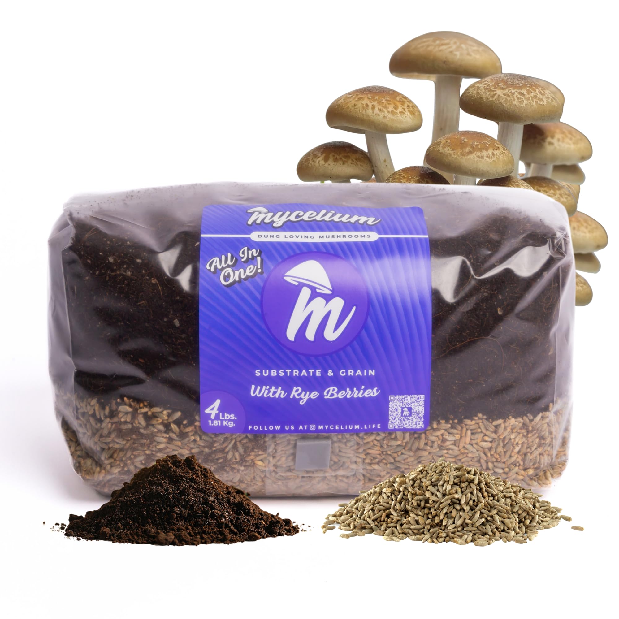 Mycelium 4LB Mushroom Grow Kit | All-in-One CVG Substrate & Rye Berries Grain Bag | Pre-Sterilized with Injection Port & Filter Patch | Grow Dung-Loving Mushrooms with Ease – Just Add Liquid Culture-image-22