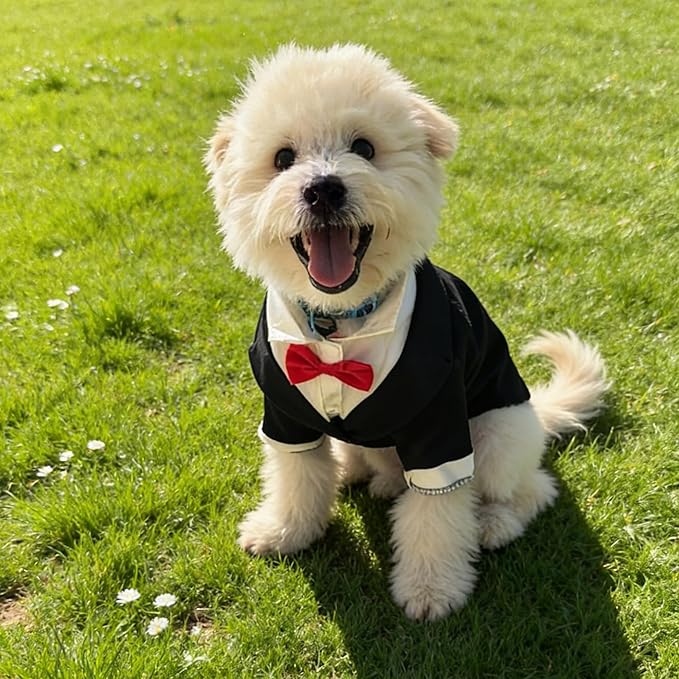 Traje de Esmoquin para Perro con Corbata, Ropa Formal para Mascotas miniatura 8
