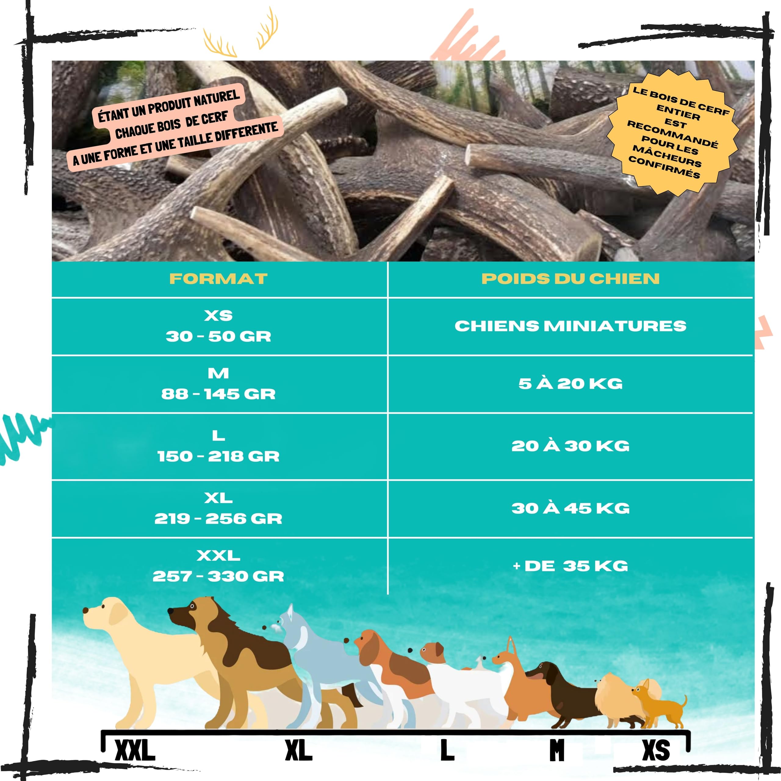 Bois de cerf pour Chien, Taille XL 30 à 45 Kg | Nettoie les dents, Longue durée de mastication, Apport en calcium naturel, Anti-stress pour chiens actifs