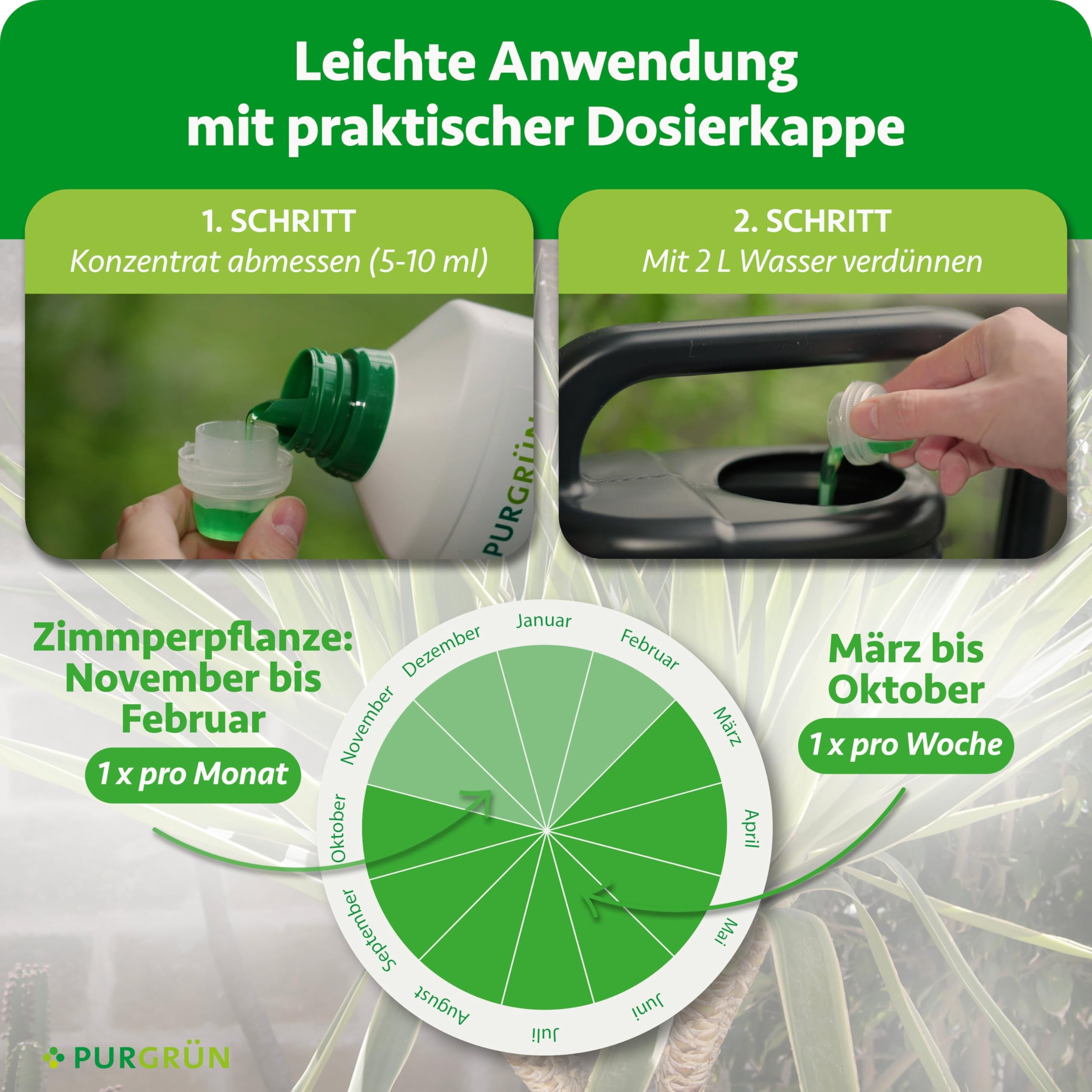 Yucca-Dünger 1 Liter – Schnelles Wachstum dank Stickstoff – Premium-Flüssigdünger mit Spurennährstoffen – Stärkt die Widerstandskraft – Ergiebiges Konzentrat für 400 Liter Gießwasser