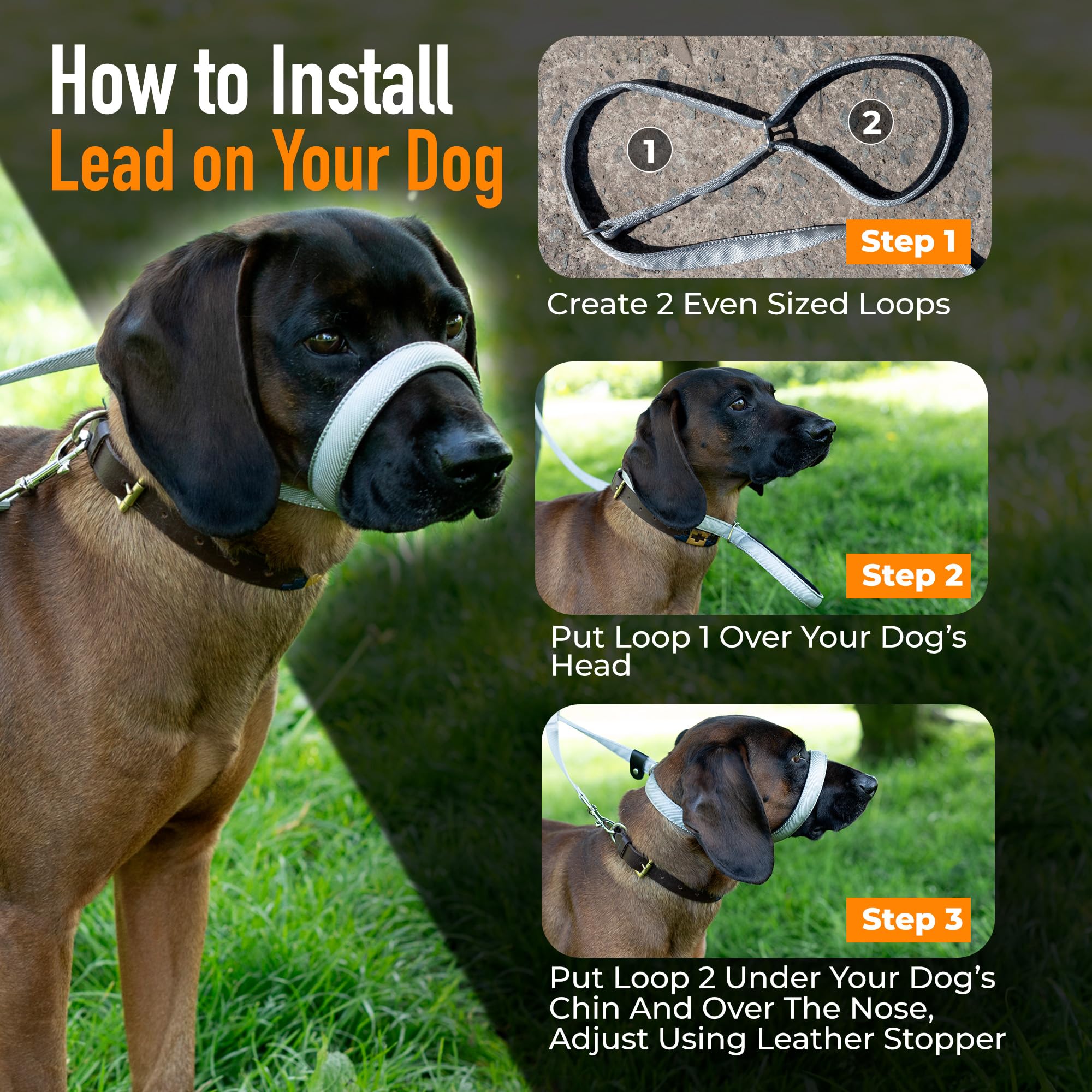 Total Pet Figure of 8 Hundeleine Flach mit Anti Tangle Drehmechanismus - Anti Pull Stop Hunde Ziehen - Retrieverleinen Reflektierend mit Gepolsterter Nasenstütze - (Grau, 180cm)