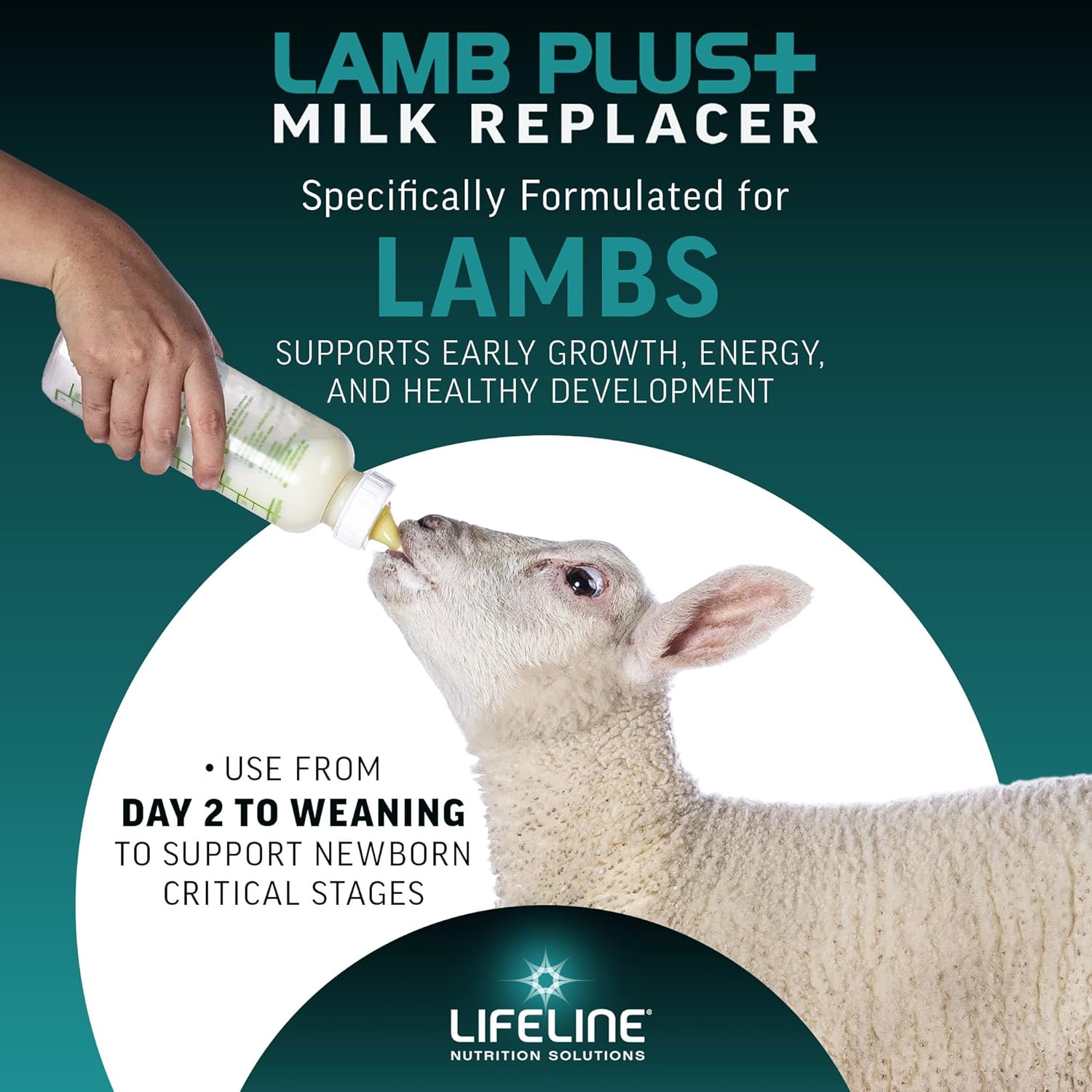 ANNUSO LIFELINE Lamb Plus+ Milk Replacer, 6lb Bag - 23% Protein & 30% Fat - Enhanced with LifePulse for Added Support - Encourages Immune, Digestive & Respiratory Health - Easy-Mix Powder