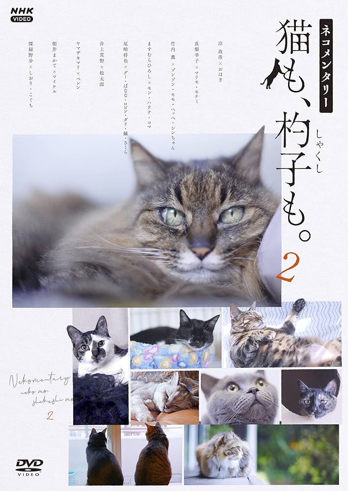 【中古】 ネコメンタリー　猫も、杓子も。/ＤＶＤ/PCBE-55989 Amazon.co.jp: ネコメンタリー 猫も、杓子も。 [DVD] : 養老孟司