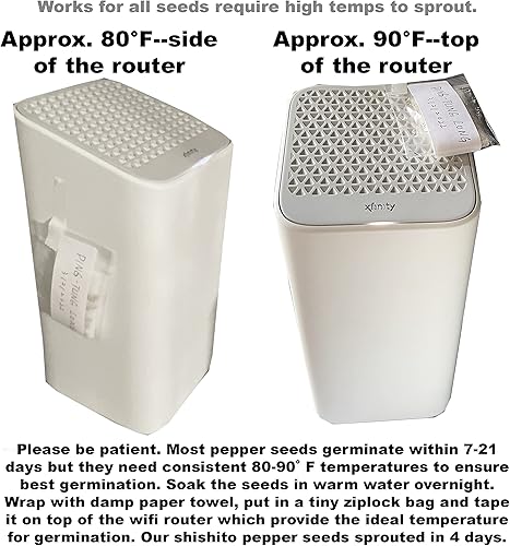 Miniatura 3 de Semillas de pimiento para plantar, semillas de pimiento verde y rojo, semillas de reliquia sin OMG, semillas de vegetales para huerto doméstico y