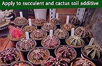 Vista 4 de Horticultural Akadama Soil - Aditivo de suelo suculento de cactus bonsái para plantas, paisajismo, rellenos de jarrones