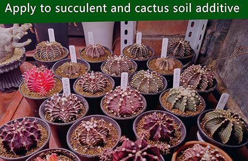Miniatura 4 de Horticultural Akadama Soil - Aditivo de suelo suculento de cactus bonsái para plantas, paisajismo, rellenos de jarrones (10 libras, 14 de pulgada)