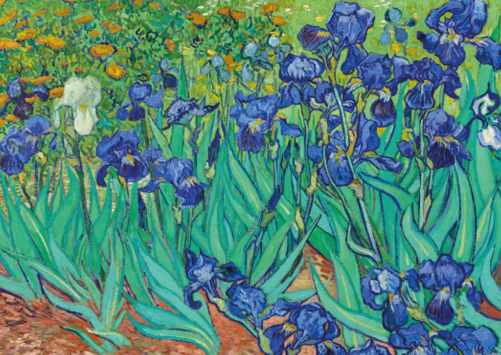 Fleurs. Coffret l'essentiel