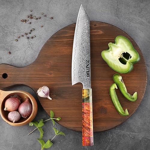 Miniatura 5 de Kiritsuke - Cuchillo de chef de 8 pulgadas, cuchillos de cocina japoneses VG10 de acero Damasco, cuchillo de corte de carne y sushi con mango