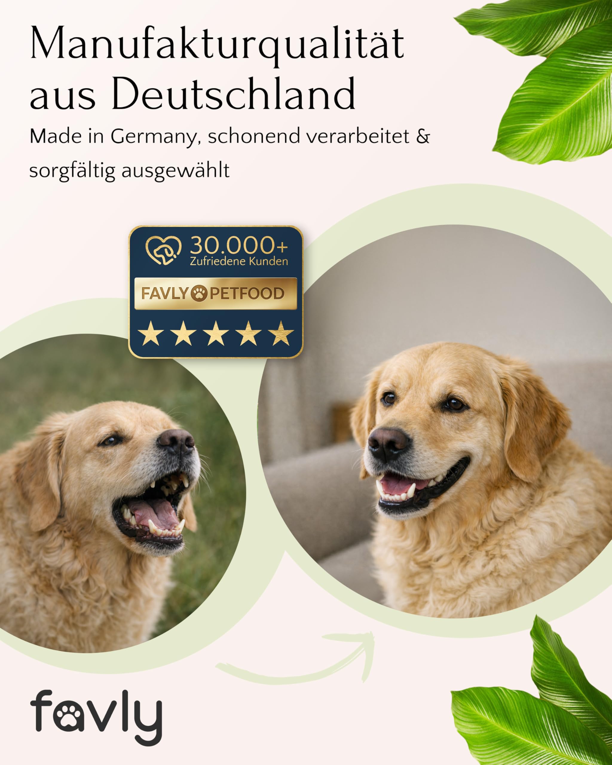FAVLY – Premium Lammohren 2x450g für Hunde – luftgetrockneter Kauartikel zur Zahnpflege – 100% natürlicher Hundekausnack ohne Zusätze – besonders gut verträglich & hypoallergen