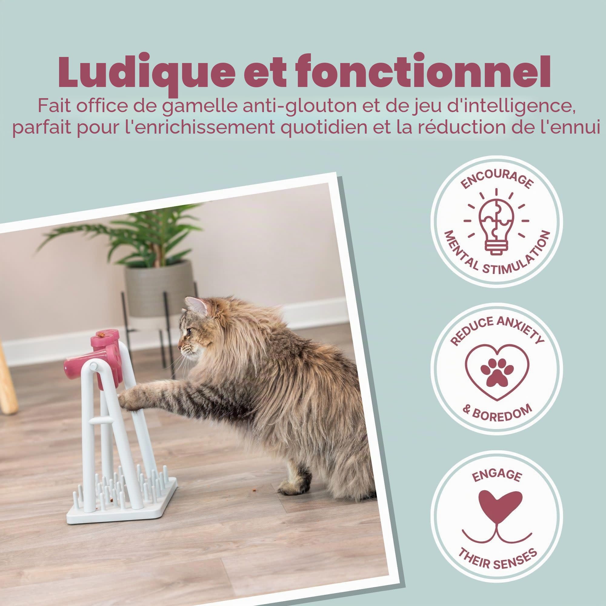 TRIXIE jouet interactif pour chat Cat Activity Turn Around – jeu d'intelligence & de stratégie pour stimuler l'esprit & l'apprentissage par le jeu, 22x33 cm, respectueux des animaux