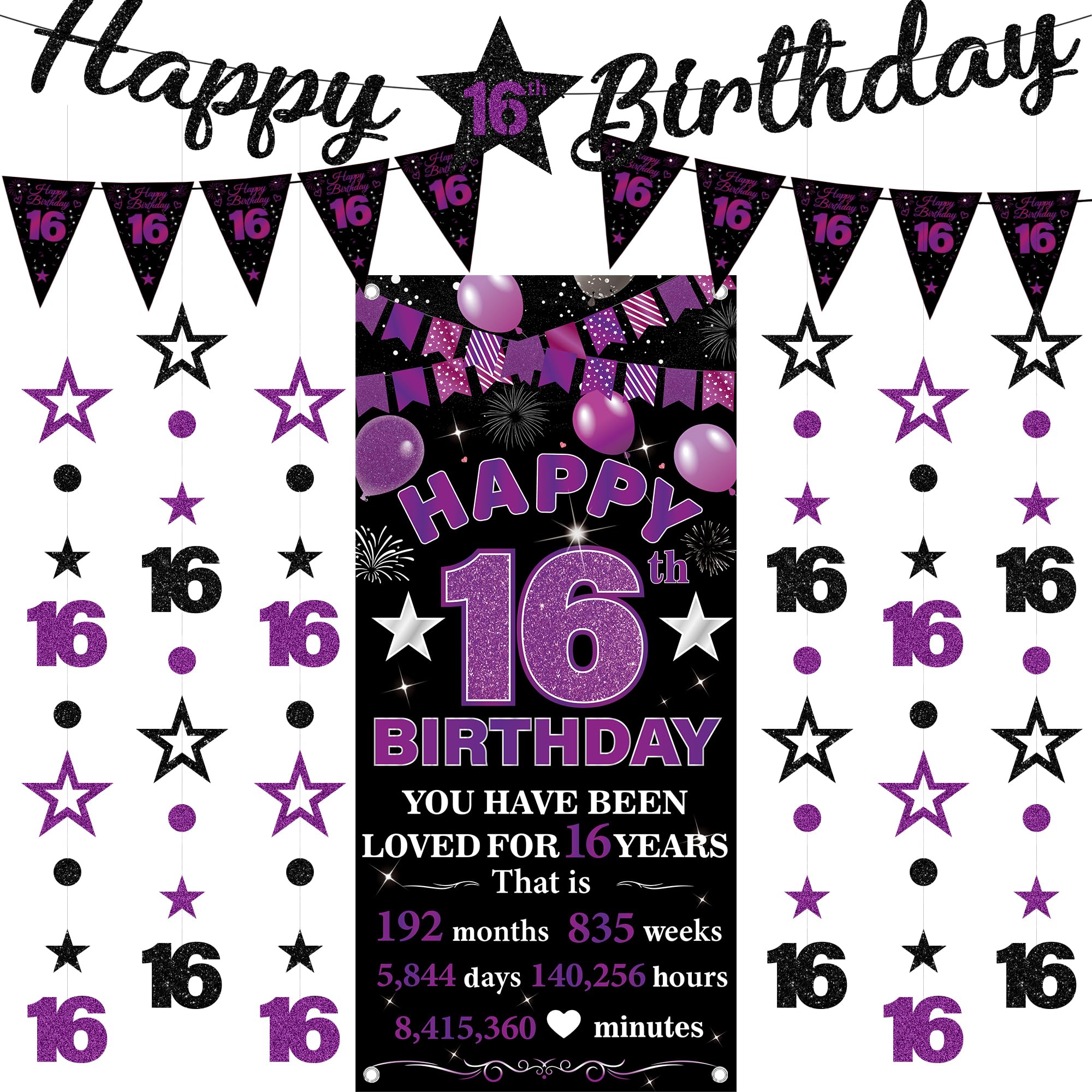 16th Birthday Decorations Banner Girls - 9 Pcs Black Purple Bannes Set โ image 1