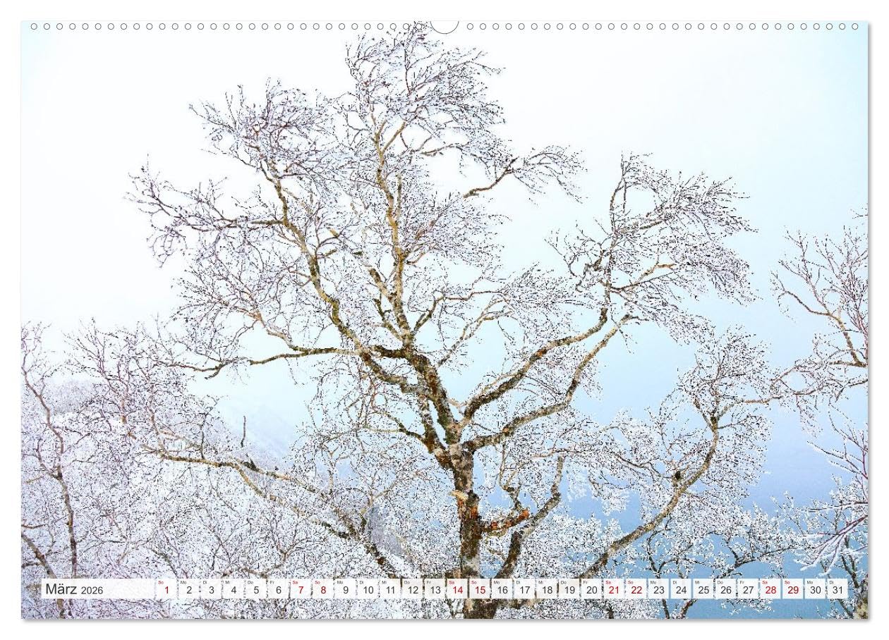 Wildes Japan - Hokkaido im Winter (hochwertiger Premium Wandkalender 2026 DIN A2 quer), Kunstdruck in Hochglanz: Hokkaido im hohen Norden Japans ist im Winter ein weißes Wunderland.
