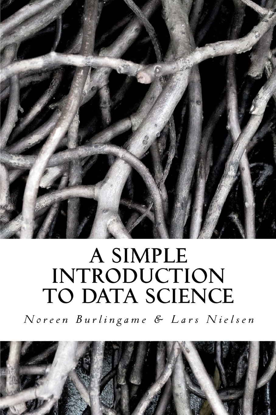 A Simple Introduction to DATA SCIENCE