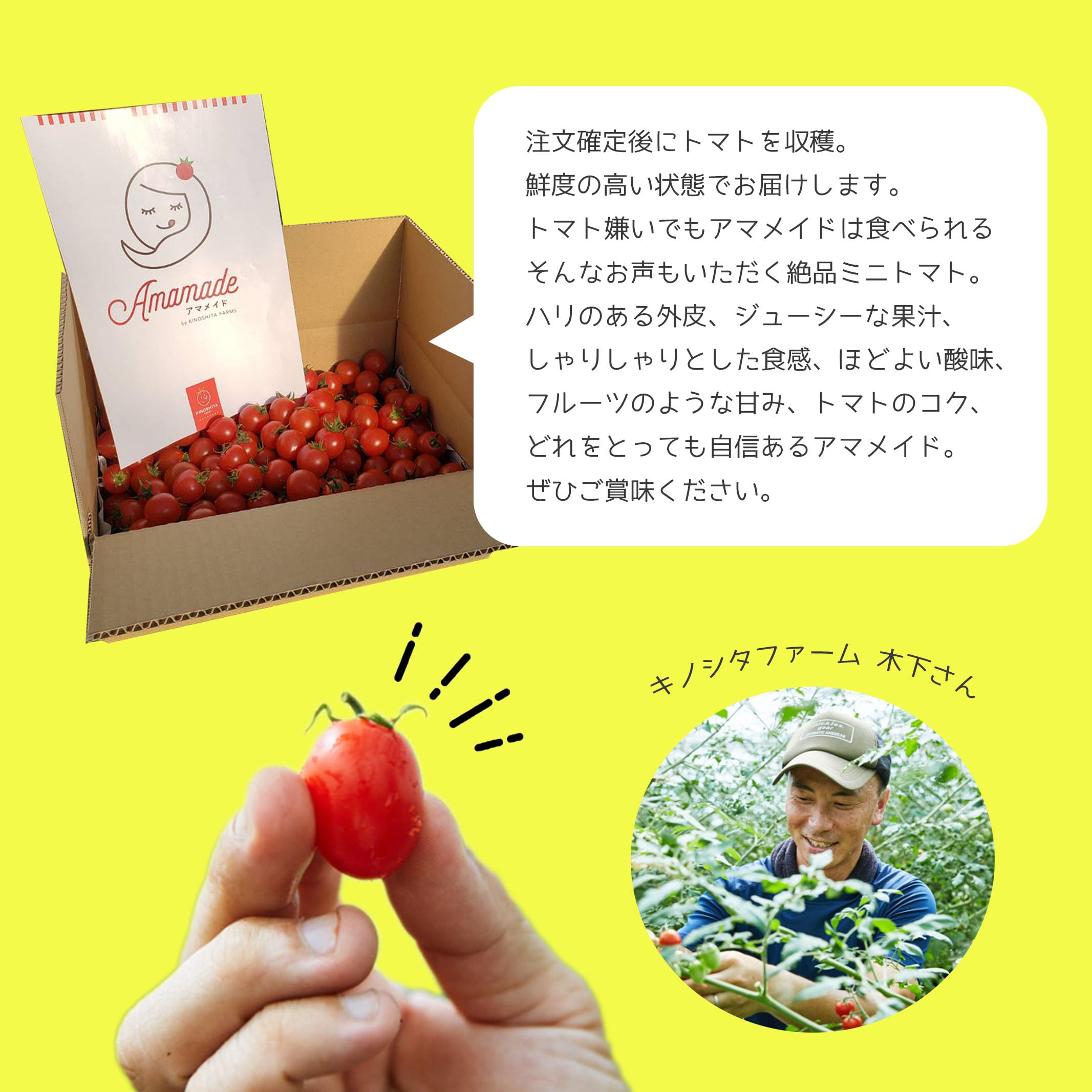 Amazon.co.jp: 大阪府産 アマメイド 【キノシタファーム】 約1㎏ ミニ