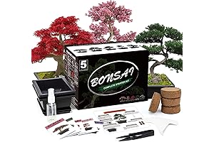Complete Bonsai Tree Kit for Women: A Comprehensive Guide to Cultivating Indoor Japanese Gardens
