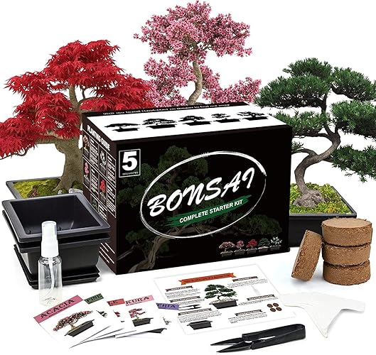 Meekear 5 Bonsai Tree Kit Complete Plant Growing Tools, Grow in Pot Indoor Bonsai Tree Starter Kit, Great Home Gardening Potted Plants DIY Gift for Adults - Growing into Acacia, Wisteria, Sakura, Red Maple, Black Pine