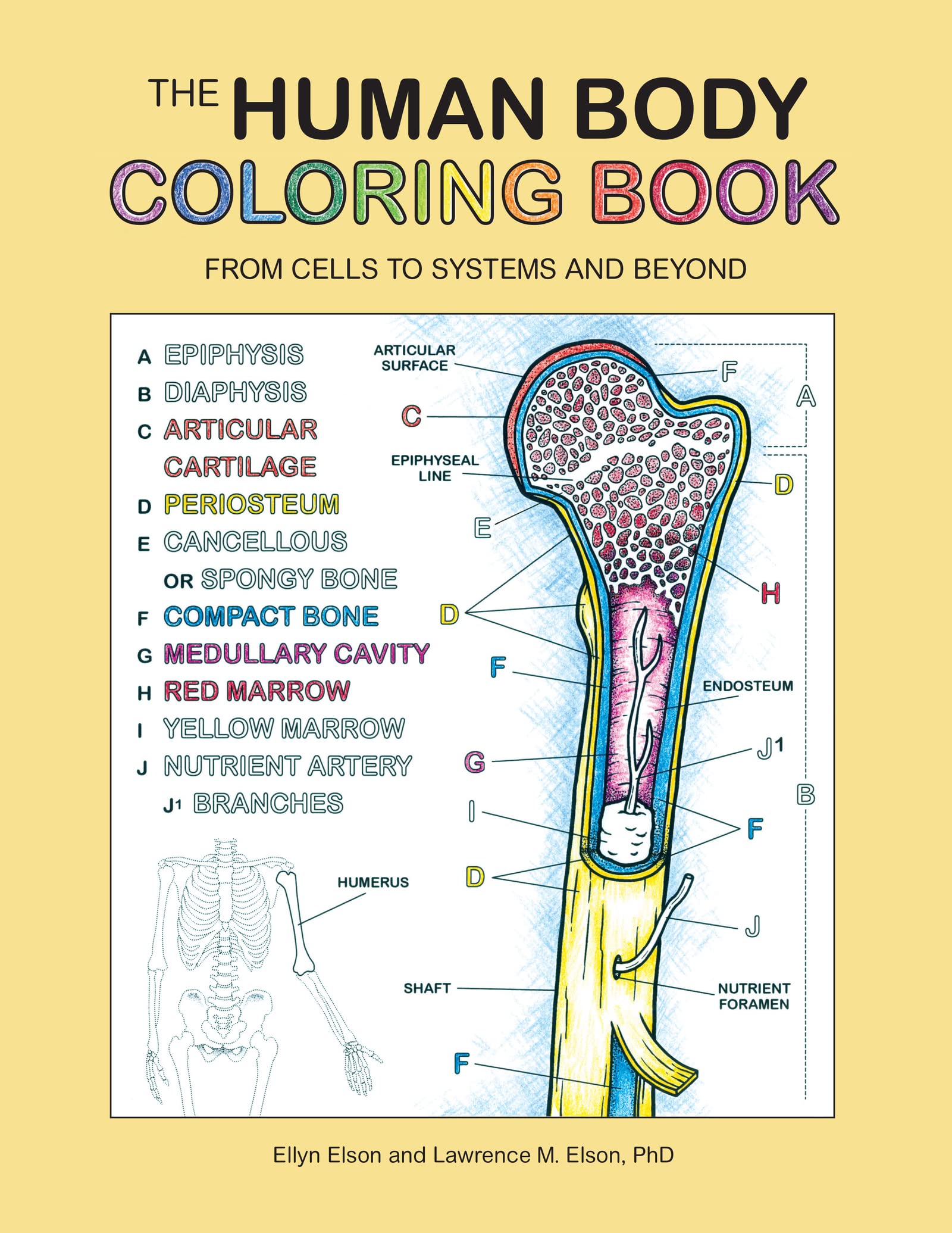 The Human Body Coloring Book: From Cells to Systems and Beyond (Coloring Concepts)