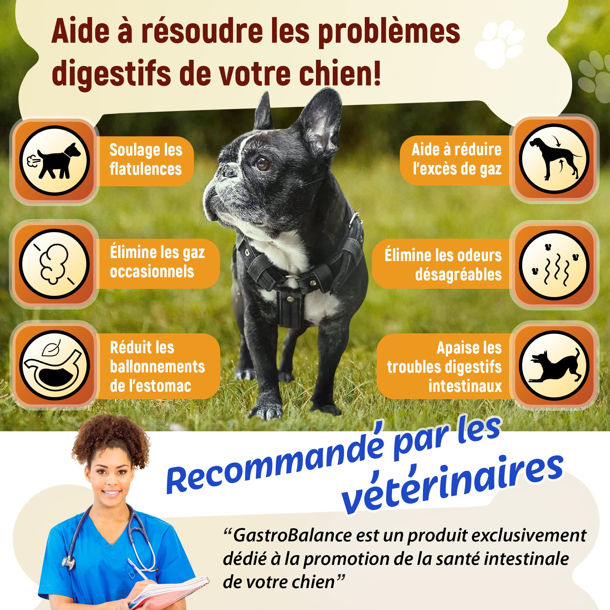Traitement Anti Flatulence Chien - complément Alimentaire Chien flatulences - 60 croquettes Chien Anti Flatulence - Goût Poulet (Francais)