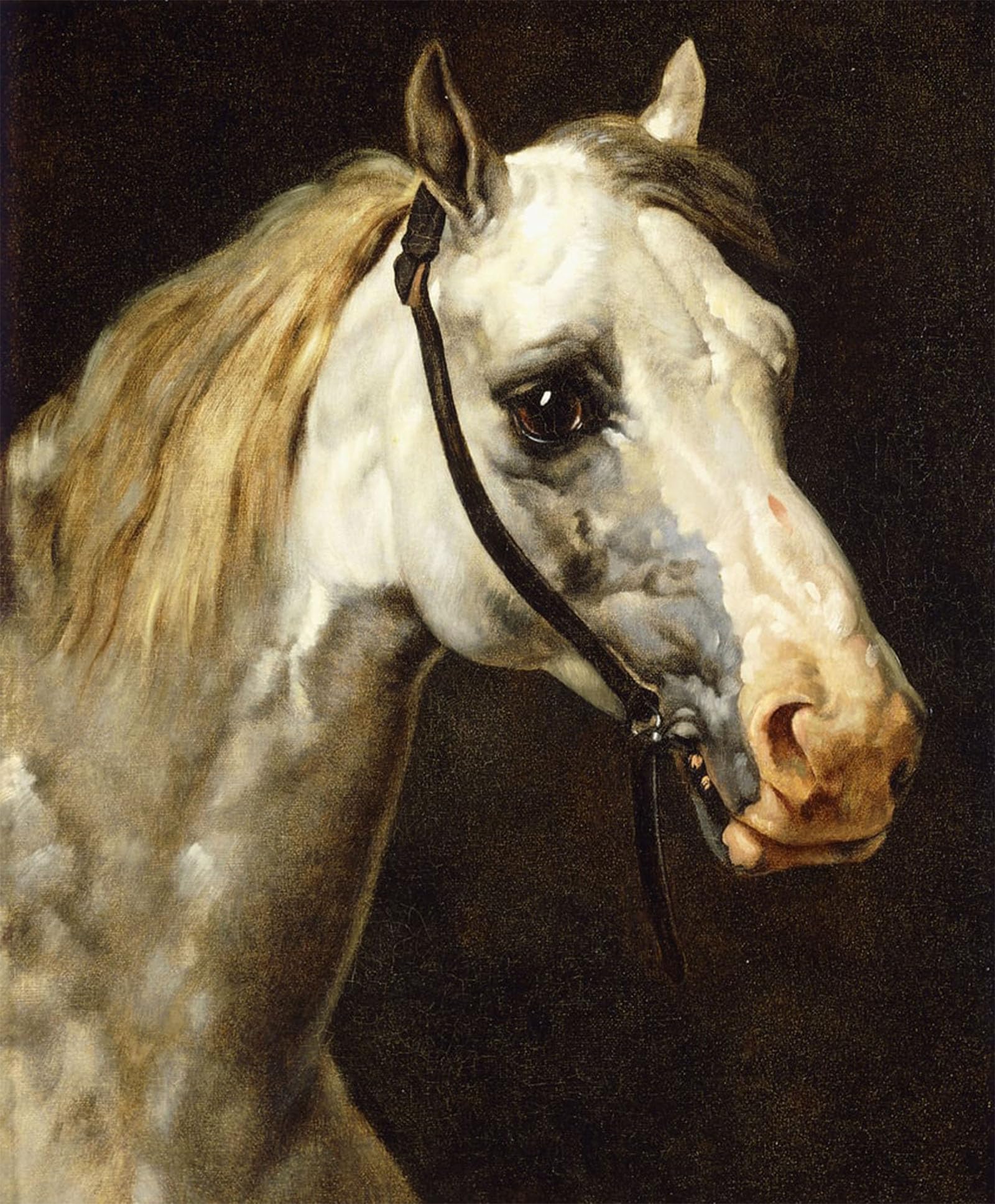 POSTERIIk Famous Animal Posters Vintage Picture Head of a Piebald Horse by Theodore Gericault Modern Wall Decor for Home Decor 60x90cm