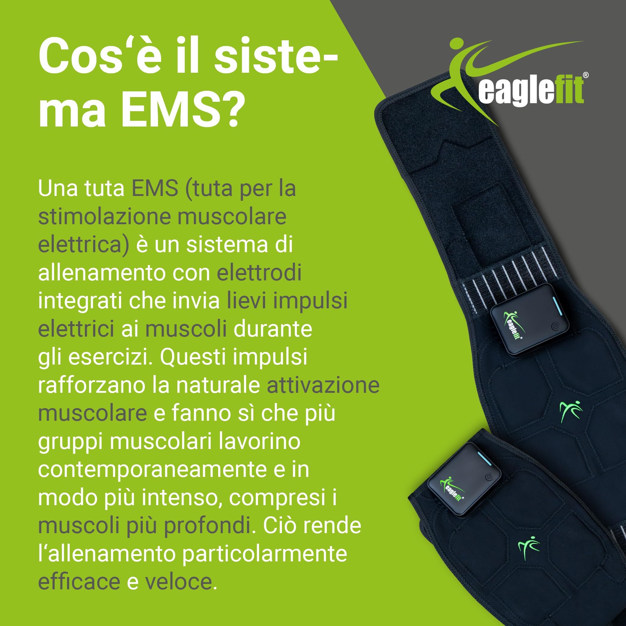 eaglefit Premium EMS-Belt 2.0 Cintura Addominale con 6 Elettrodi – Stimolazione e Sviluppo Muscolare per Addome e Schiena – Allenamento Fitness, Tonificazione, Combustione Grassi, con App Powerbox