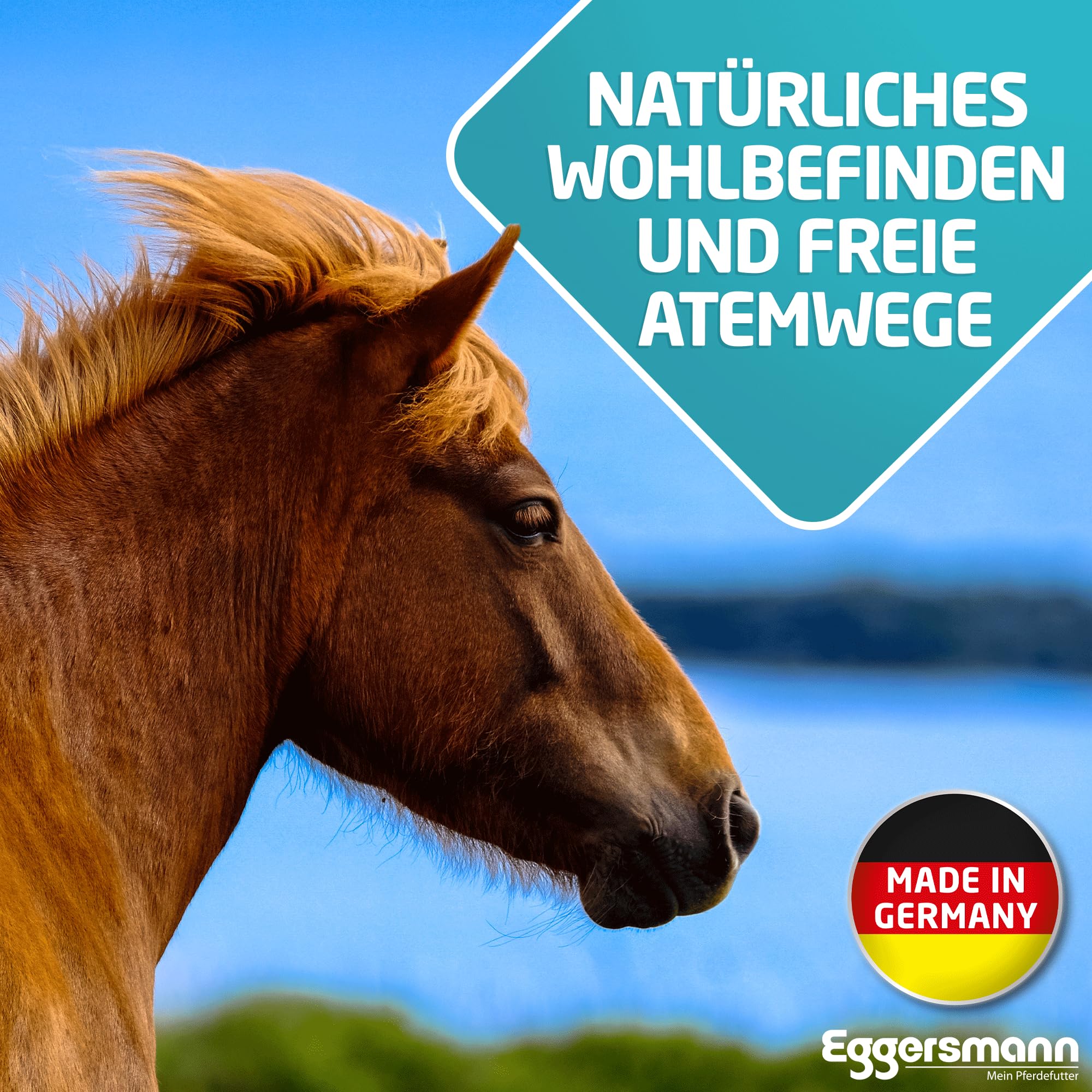 Eggersmann Mein Pferdefutter E-Vet respirOforte 1 kg | Ergänzungsfuttermittel für Pferde mit Atemwegsproblemen - Pferdefutter mit schleimlösenden Kräutern