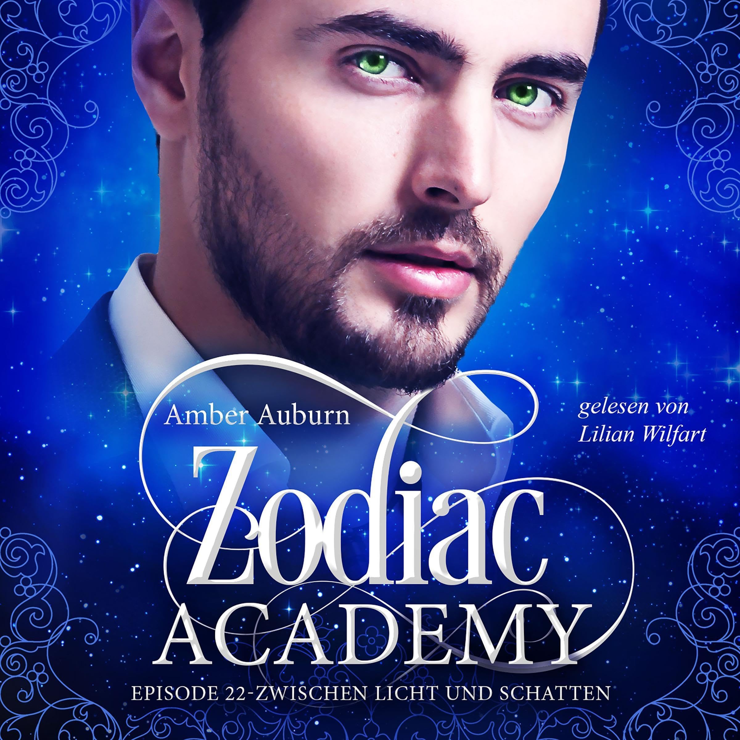 Cover art for Zwischen Licht und Schatten
