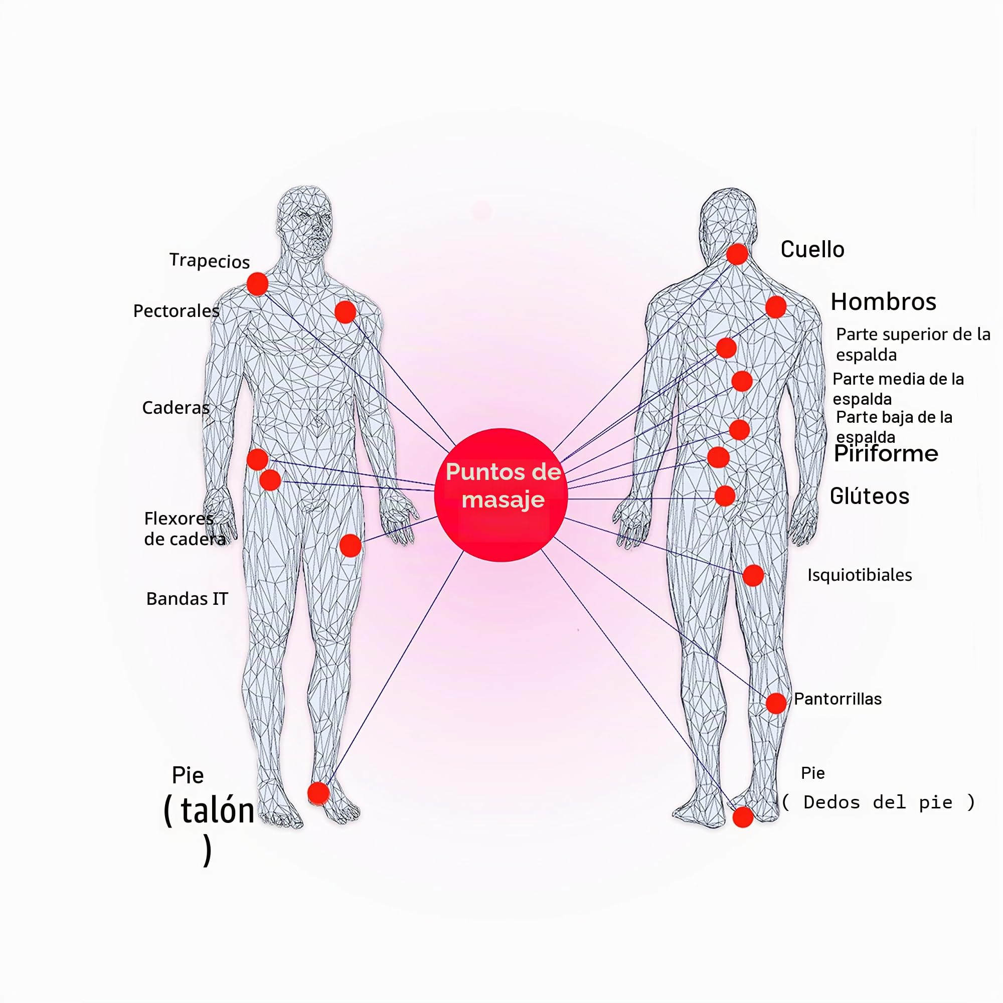 PROTONE Lacrosse Bola para Punto de activación Masaje/rehabilitación/Fisioterapia/Crossfit (Azul)