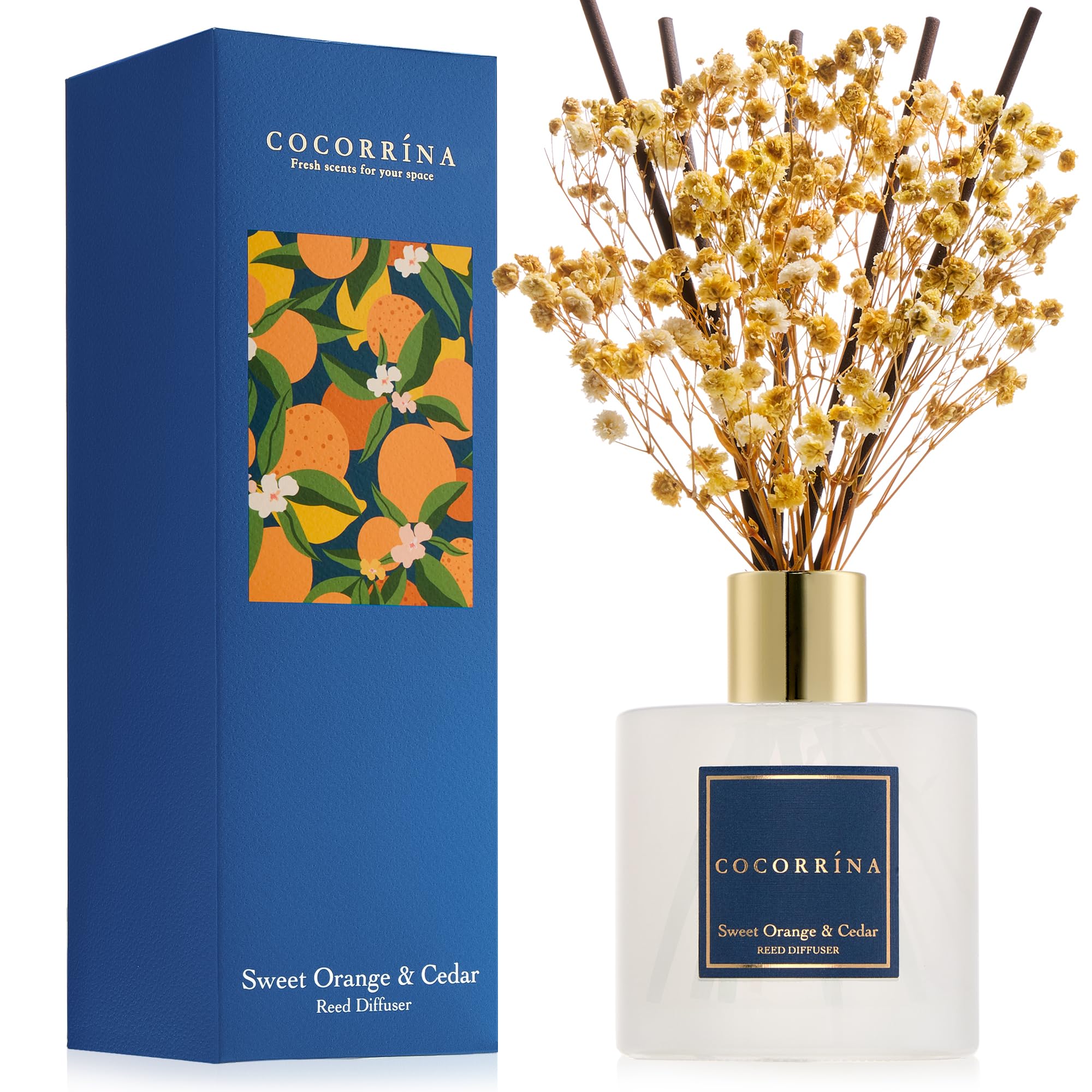 COCORRÍNA Reed Diffuser - Sweet Orange &amp; Cedar 6.7 Fl.oz Reed Diffuser Set with Sticks &amp; Preserved Baby's Breath, Reed Diffuser for Home Bathroom Shelf Decor