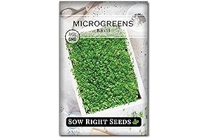 ZenBasil Microgreen Non-GMO Sweet Basil Seeds: The Secret to Growing Flavorful Microgreens Indoors