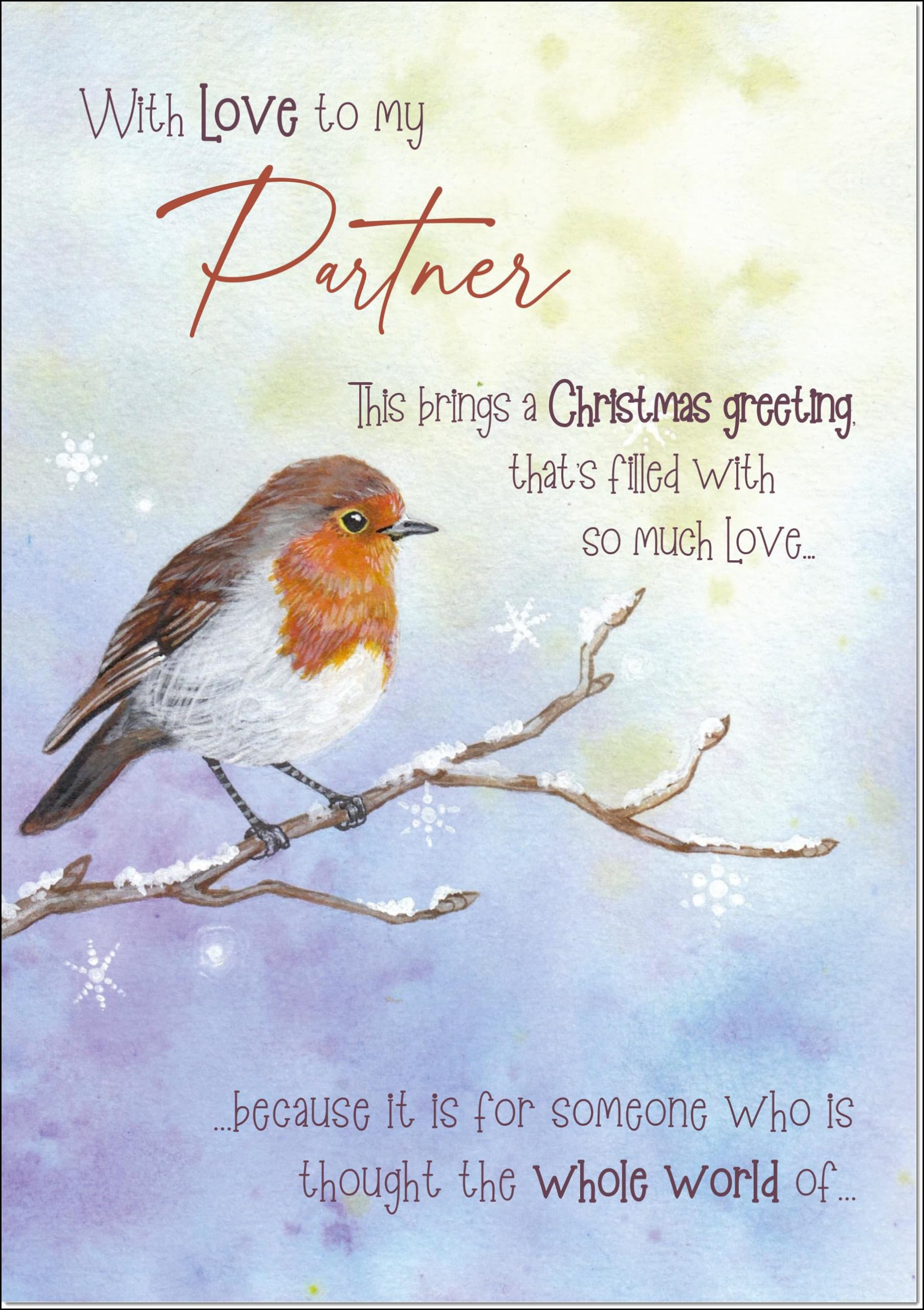 doodlecards Partner Christmas Card Watercolour Robin In The Frost Large A4 Size Christmas Card for Partner with Plain Envelope