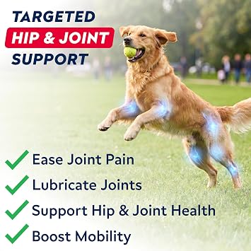 Advanced Hip Joint Supplement for Dogs, Chondroitin & MSM Hip Joint Chews