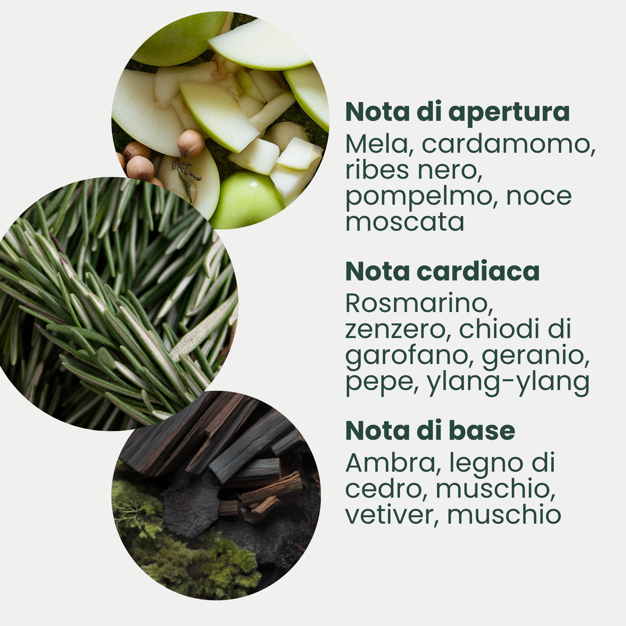 Jean & Len Balsamo Mani Rosmarino & Zenzero, con olio di argan bio, burro di karité e vitamina E per mani morbide, crema idratante per pelle secca, profumo fresco e aromatico, 250 ml
