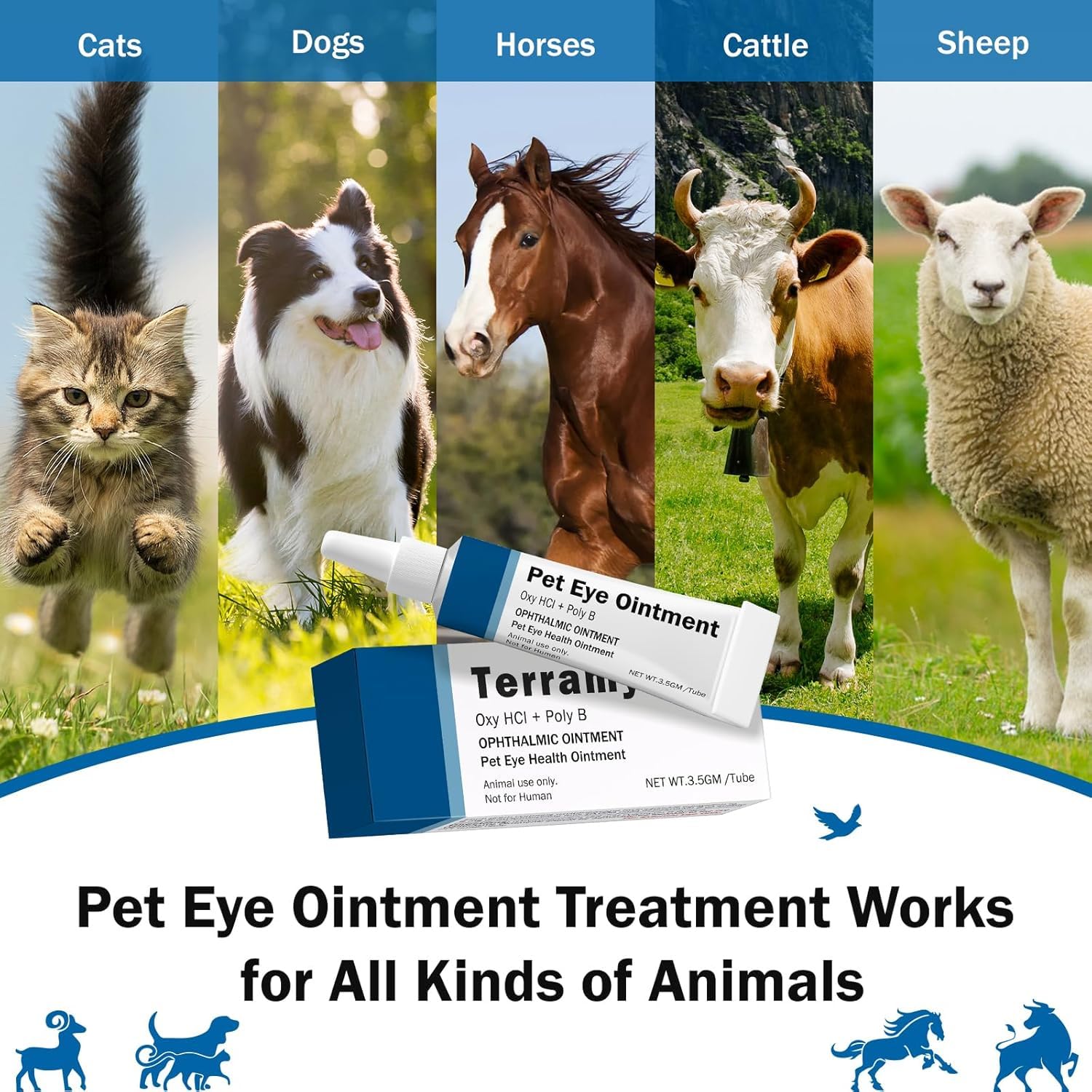 POLKA Terramypol Eye Ointment for Cats and Dogs, Horses, Birds, Sheep 3.5g/0.125oz - Pack of 2 — Amazon image 6