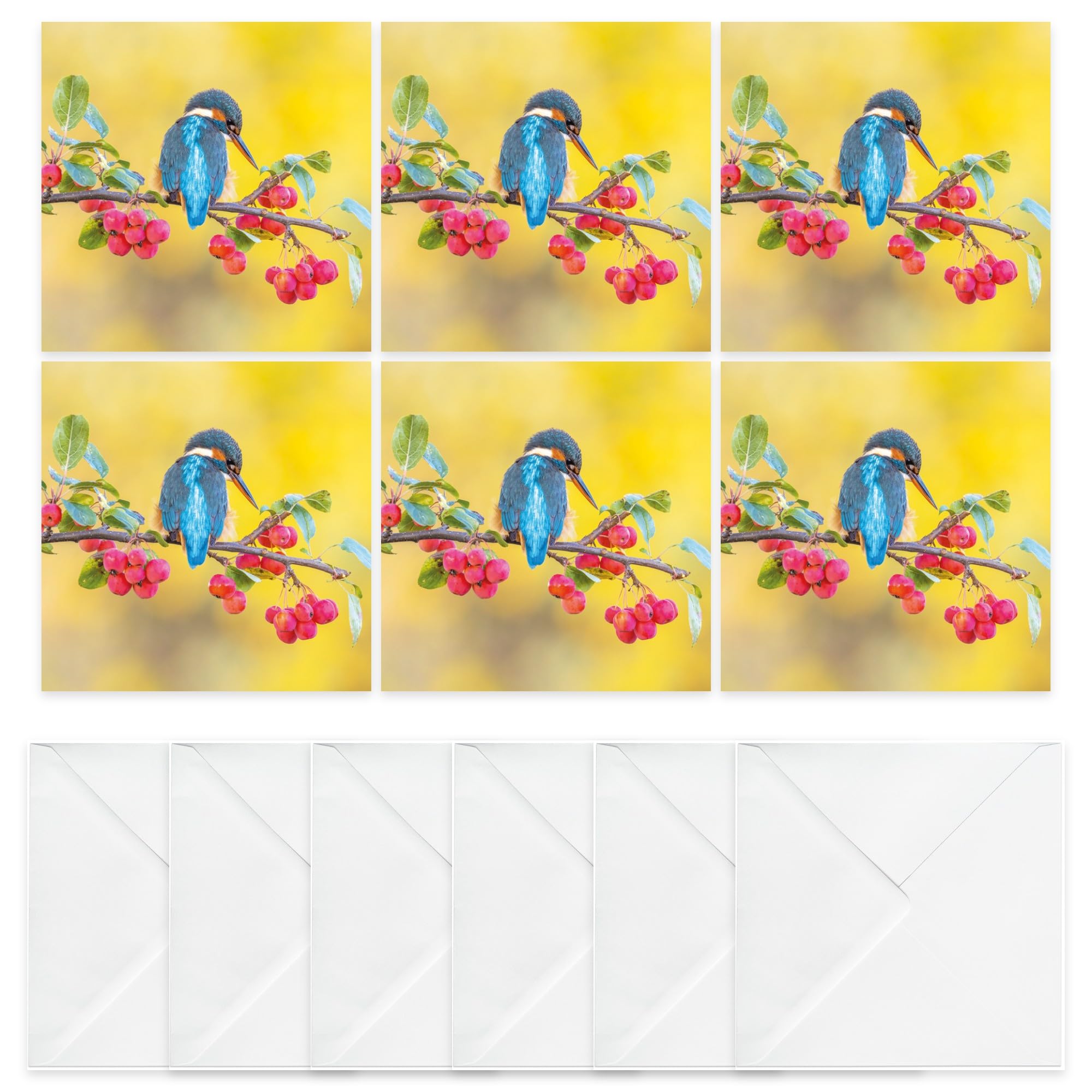 Abacus Blank Note Cards 6 Pack with Envelopes – Kingfisher Bird on Blossom Branch – British Wildlife Notecards – All Occasion – Recyclable Cards