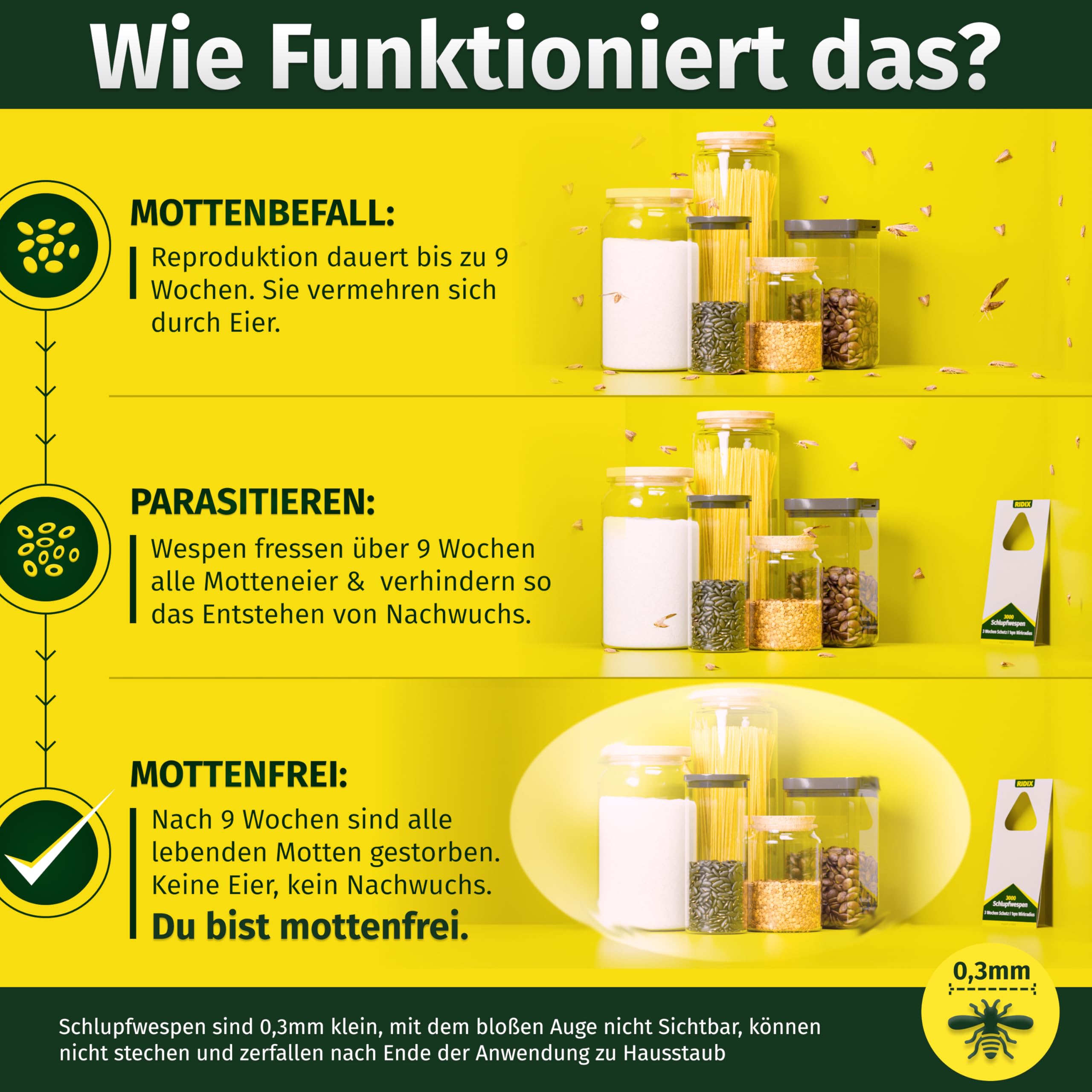 Schlupfwespen gegen Lebensmittelmotten [1 Lieferung mit 4 Karten] - Schlupfwespen gegen Motten als biologische Lösung frei von Chemie - Schlupfwespen Lebensmittelmotten