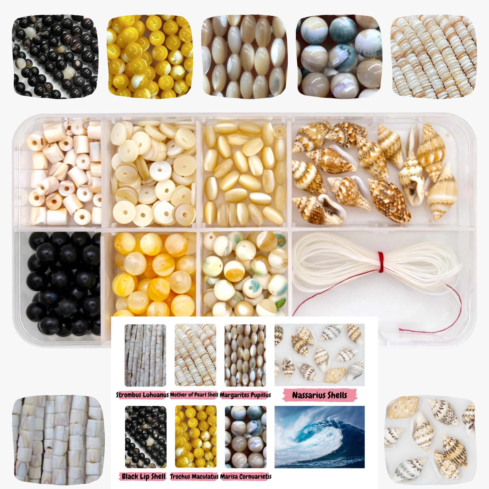 Hessle Cliff Ocean Shell Bead Kit – 250+ Natural Seashell Beads for DIY Jewellery & Beach Bracelet Making, Shell Beads Craft Set with Elastic Cord