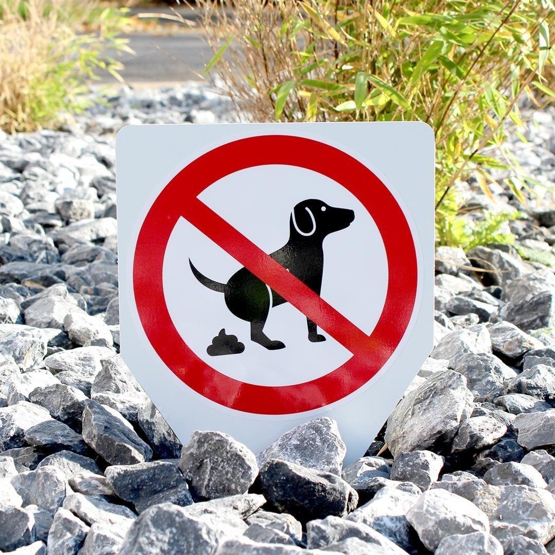 Komma Security Cartello di divieto per cani, in plastica – Esterno resta, cartello di divieto – divieto di cani – ristoranti negozi