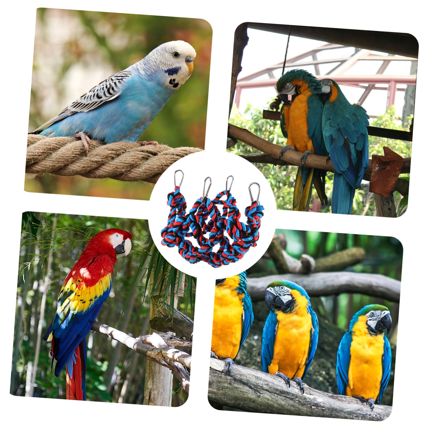 BESPORTBLE Colored Woven Climbing Net Rope Birds Play Small Animal Bird Climbing Bird Parrot Bird Net Bird Ladder for Parakeets Bird Cage Colorful for Birdcage Black