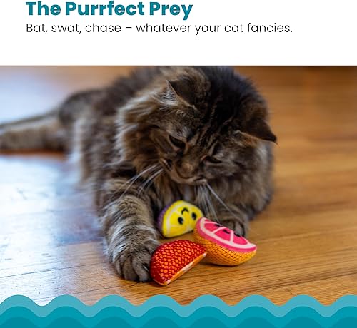 Miniatura 4 de Catstages Cuñas dentales de frutas, 4 unidades, suaves y texturizados, juguetes masticables de hierba gatera que ayudan a limpiar los dientes,