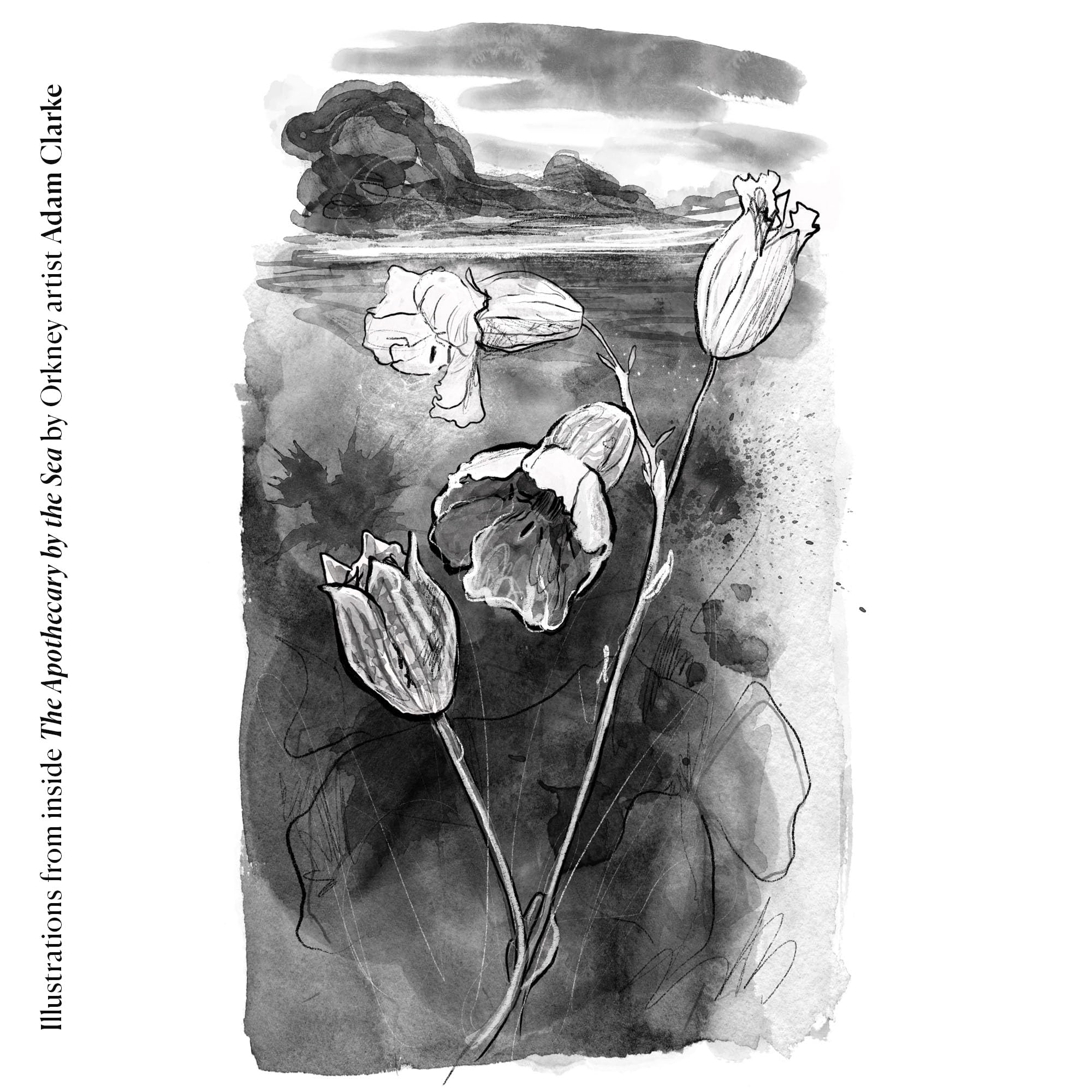 The Apothecary by the Sea: A Year in an Orkney Garden