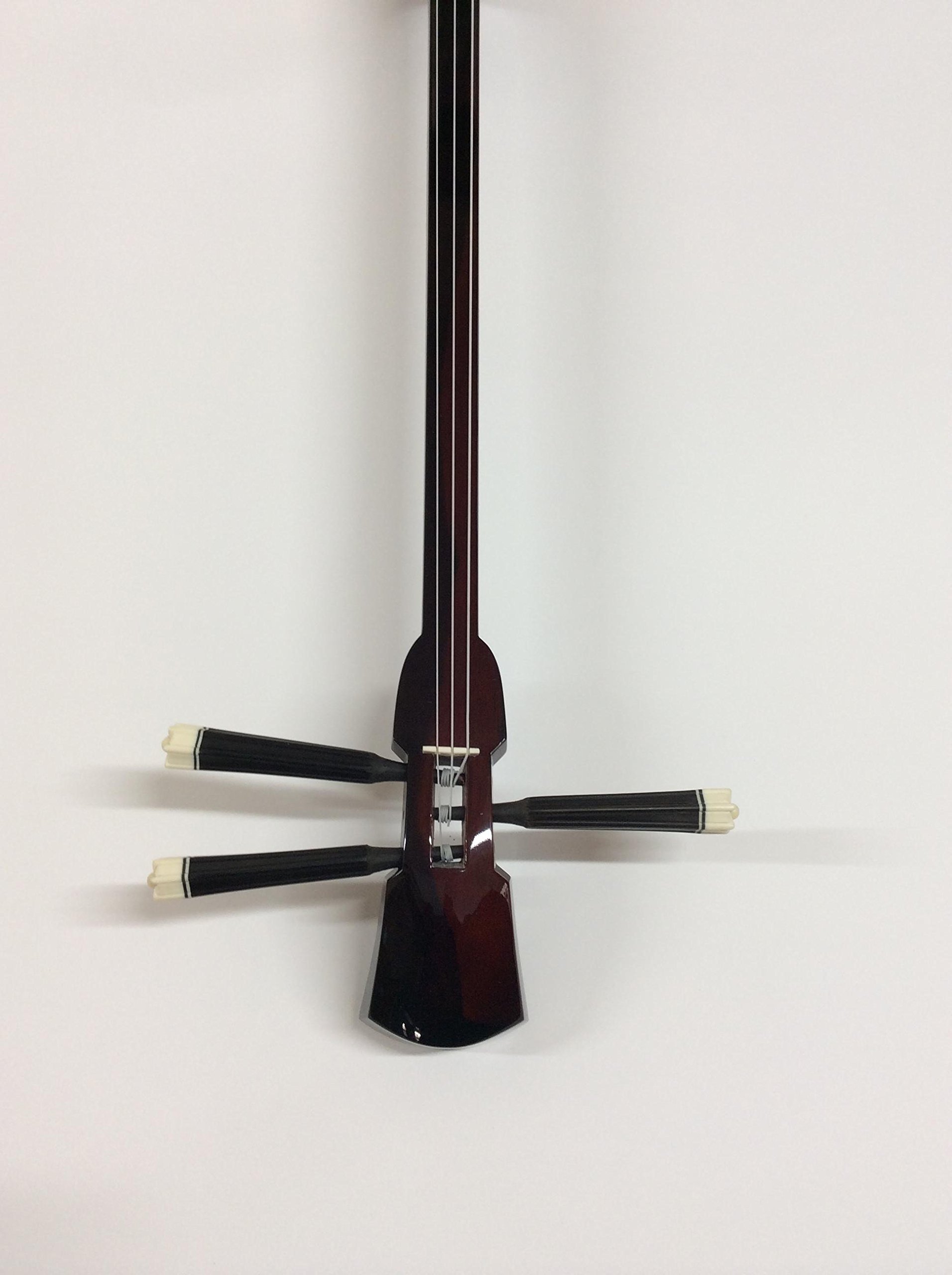 Amazon.co.jp: 本張り三線黒木カマゴン : 楽器・音響機器