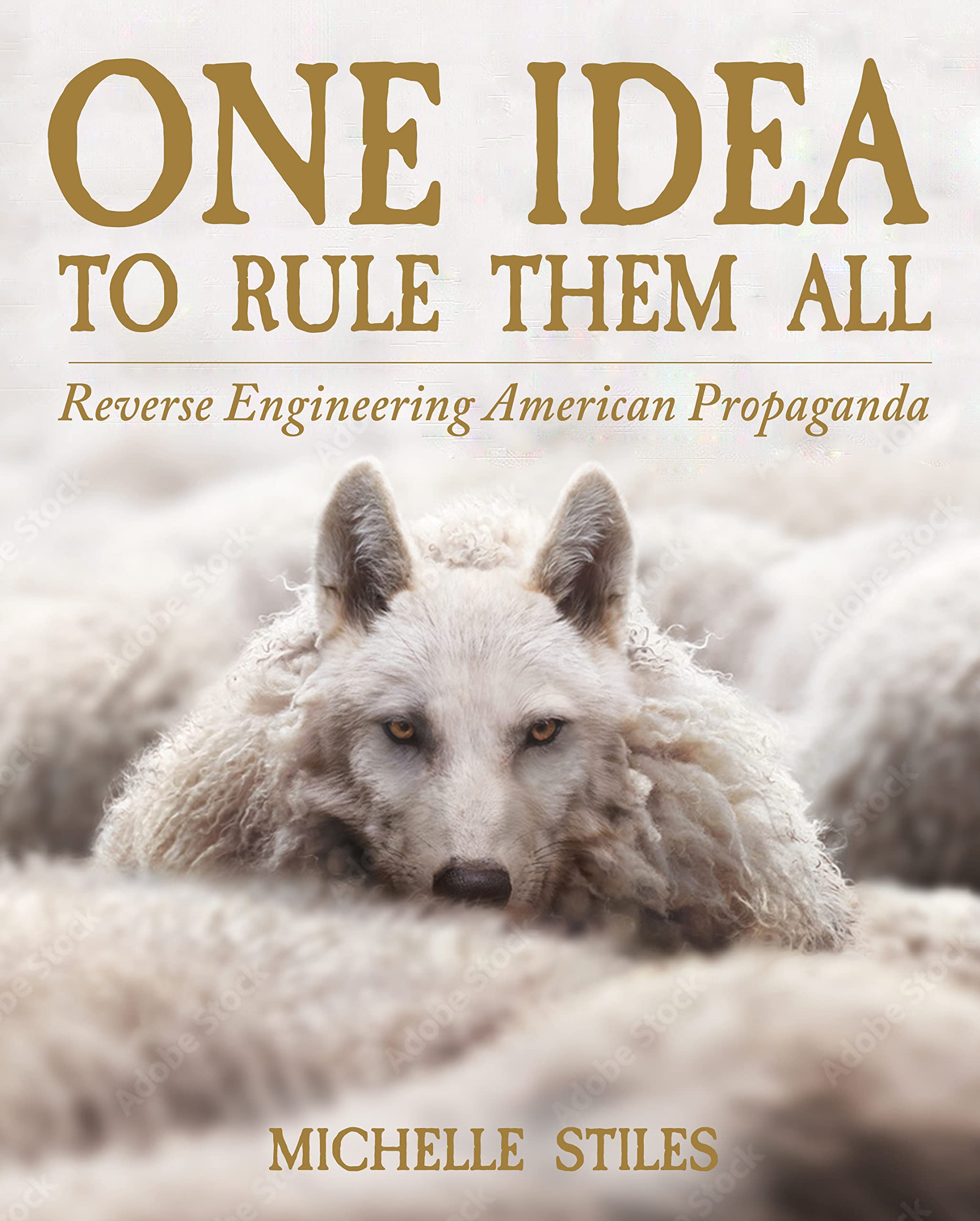 One Idea To Rule Them All: Reverse Engineering American Propaganda
